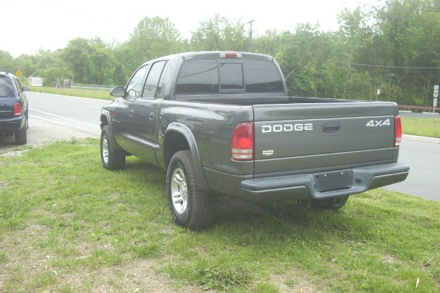 Dodge Dakota 2002 photo 8