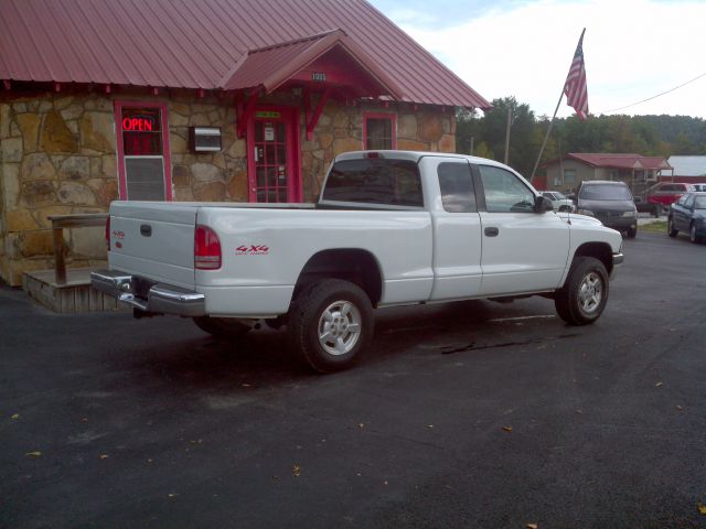 Dodge Dakota 2002 photo 3