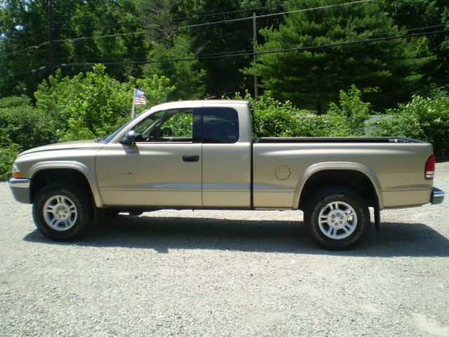 Dodge Dakota 2002 photo 3