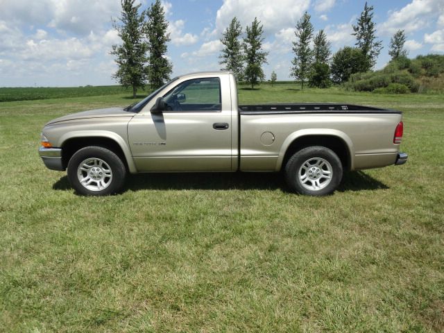 Dodge Dakota 2002 photo 1