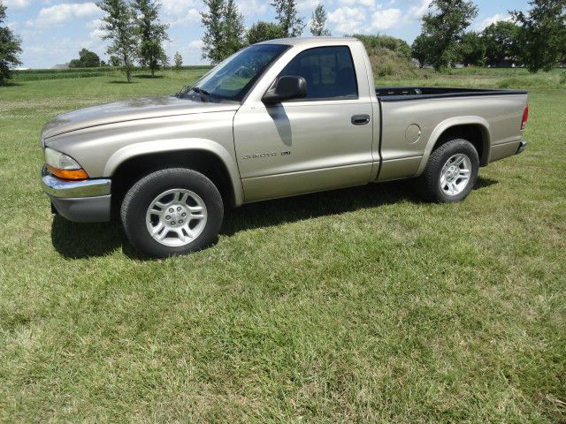 Dodge Dakota 2002 photo 2