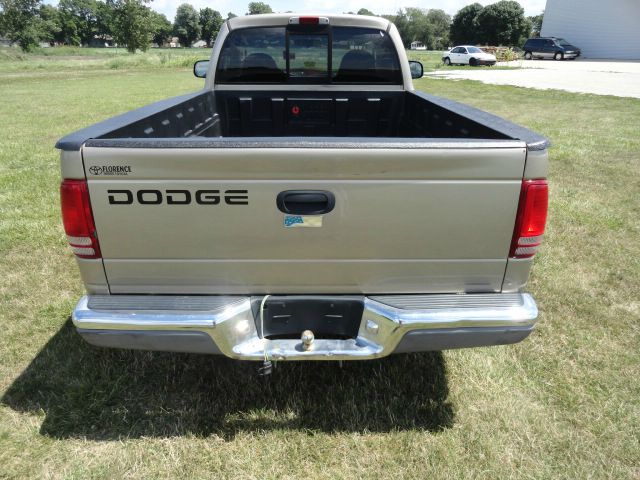 Dodge Dakota 2002 photo 4