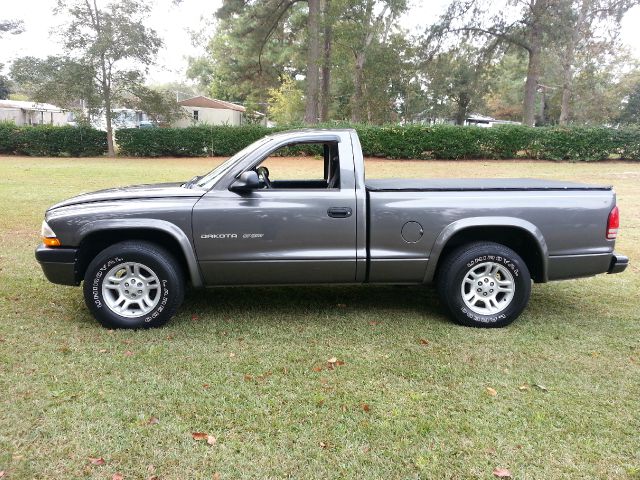 Dodge Dakota 2002 photo 3