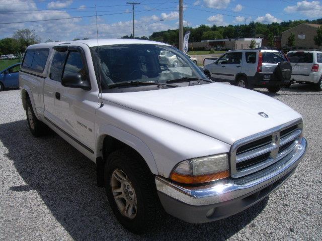 Dodge Dakota 2002 photo 4