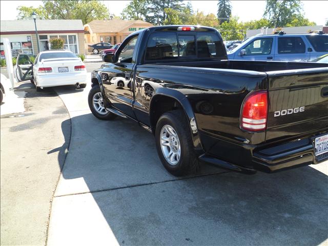 Dodge Dakota 2003 photo 3
