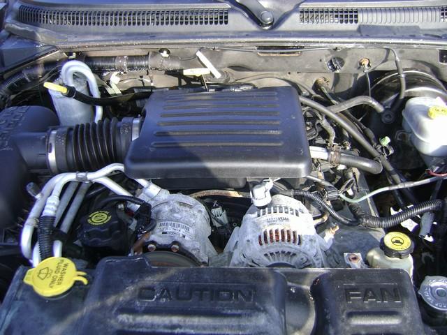 Dodge Dakota 2003 photo 5