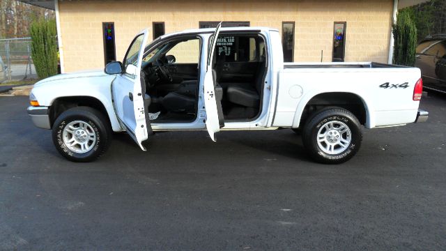 Dodge Dakota 2003 photo 1