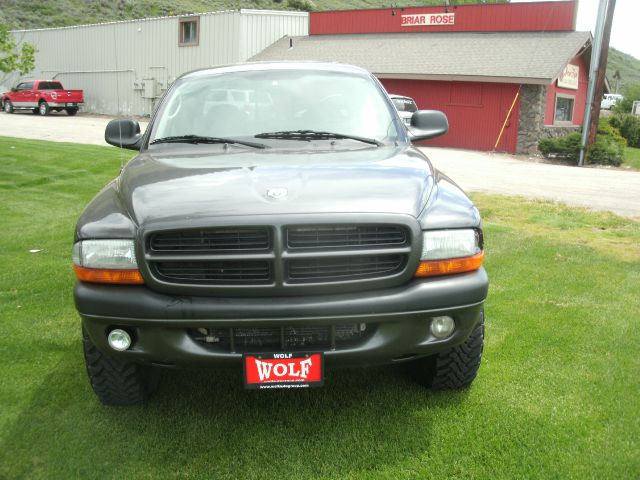 Dodge Dakota 2003 photo 2