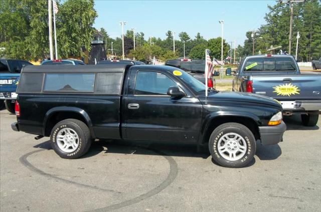 Dodge Dakota 2003 photo 3
