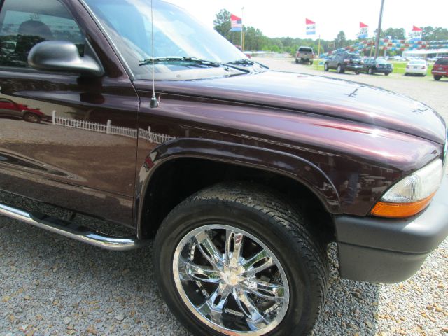 Dodge Dakota 2004 photo 19