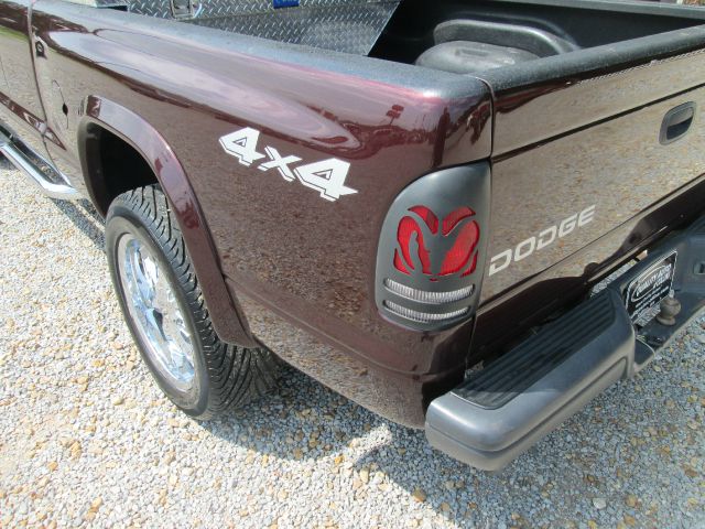 Dodge Dakota 2004 photo 8