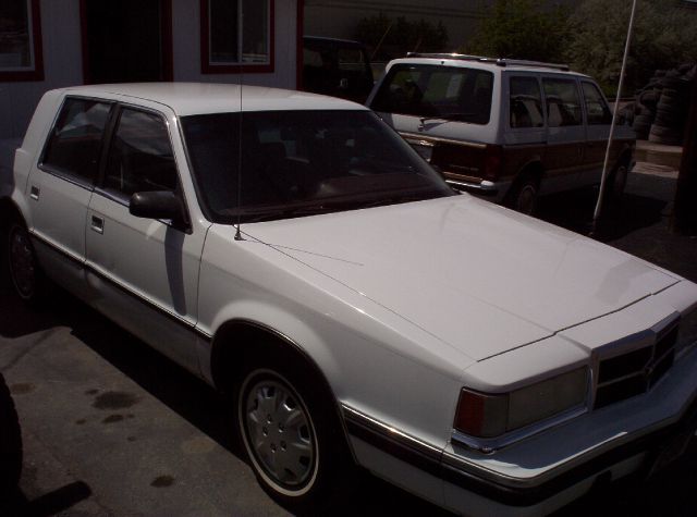 Dodge Dynasty 1993 photo 1