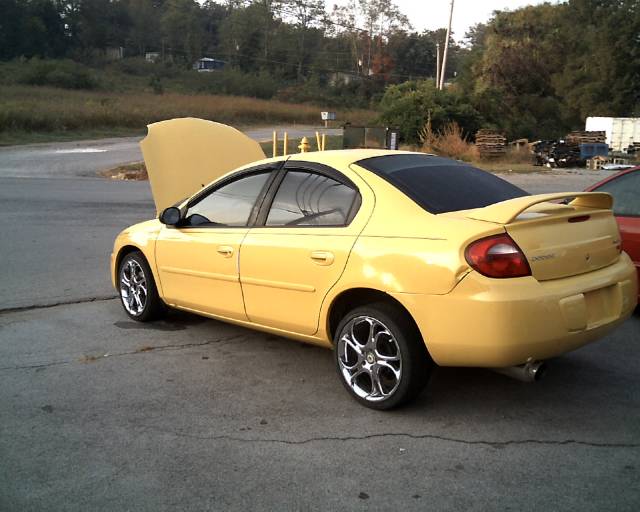 Dodge Neon 2003 photo 2