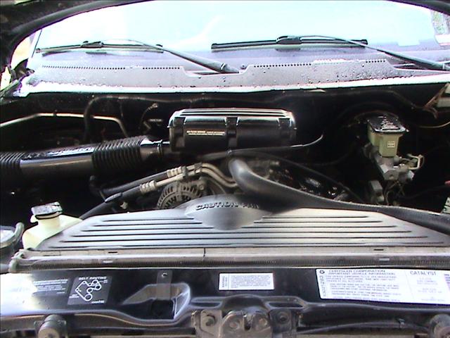 Dodge Ram 1995 photo 5
