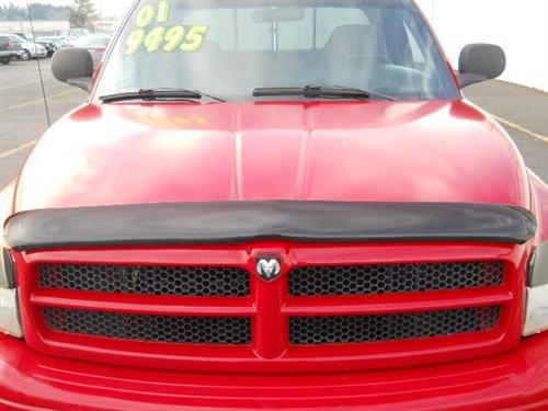 Dodge Ram 1500 2001 photo 1