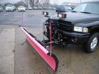 Dodge Ram 1500 2001 photo 1