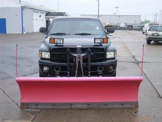 Dodge Ram 1500 2001 photo 5