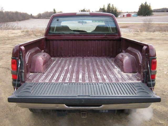 Dodge Ram 1500 2001 photo 3