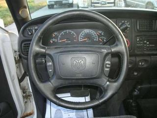 Dodge Ram 1500 2001 photo 3