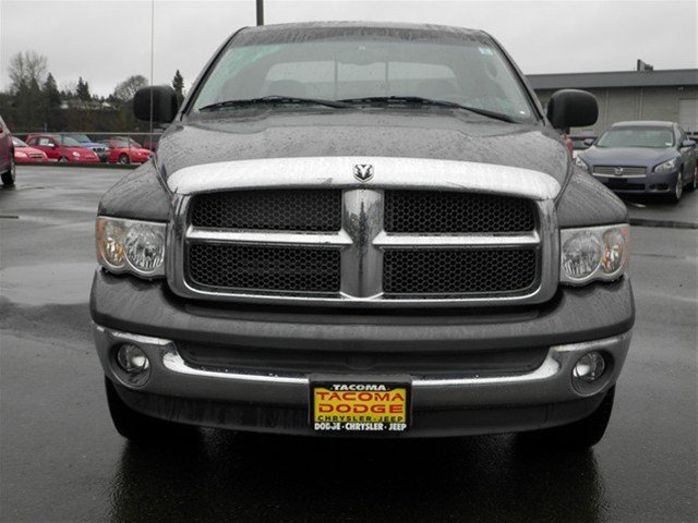 Dodge Ram 1500 2002 photo 5