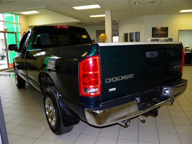 Dodge Ram 1500 2002 photo 1