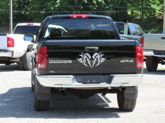 Dodge Ram 1500 2002 photo 6