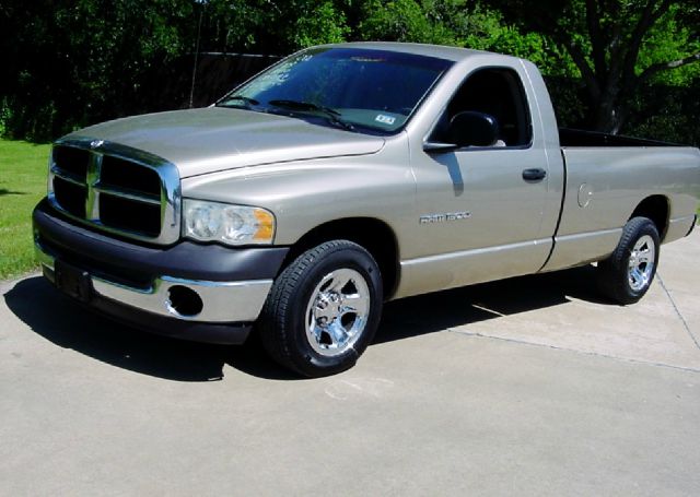 Dodge Ram 1500 2002 photo 3