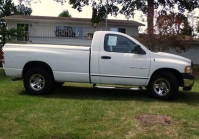 Dodge Ram 1500 2002 photo 5