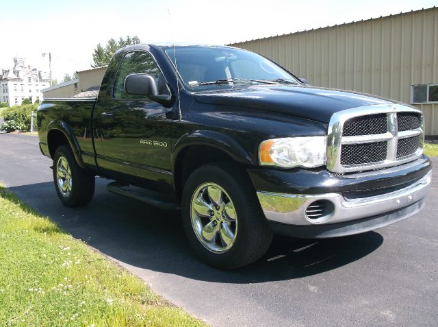 Dodge Ram 1500 2003 photo 2