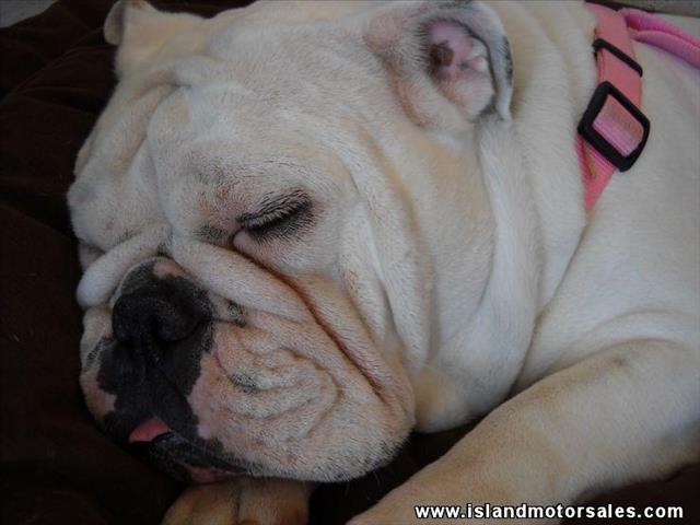 Dodge Ram 1500 2005 photo 45