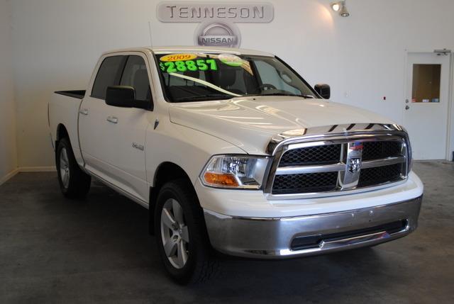 Dodge Ram 1500 2009 photo 1