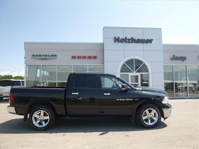 Dodge Ram 1500 2011 photo 2
