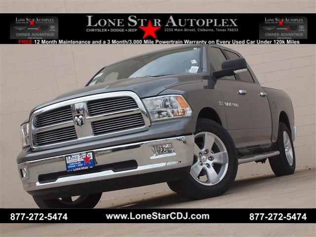 Dodge Ram 1500 Base Especial Edition Pickup