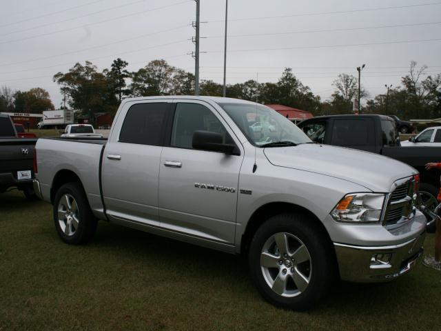 Dodge Ram 1500 Unknown Pickup