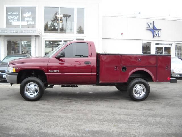 Dodge Ram Pickup 2001 photo 2
