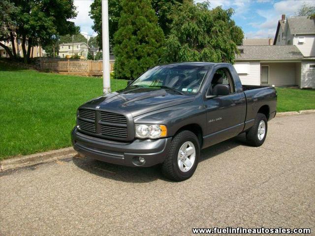 Dodge Ram Pickup 2002 photo 2