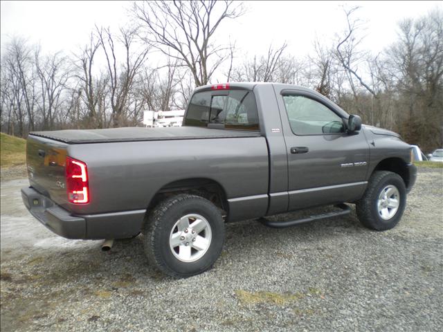 Dodge Ram Pickup 2002 photo 2