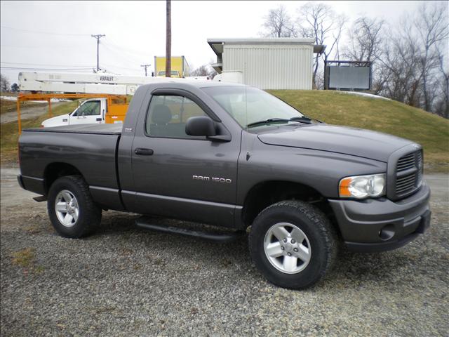 Dodge Ram Pickup 2002 photo 3