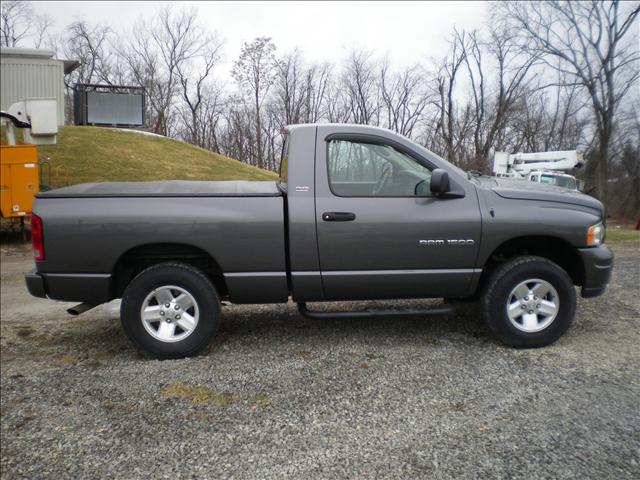 Dodge Ram Pickup 2002 photo 4