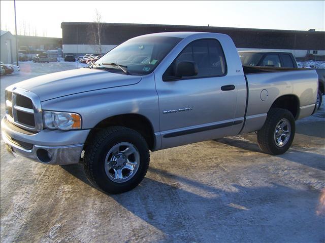 Dodge Ram Pickup 2002 photo 2
