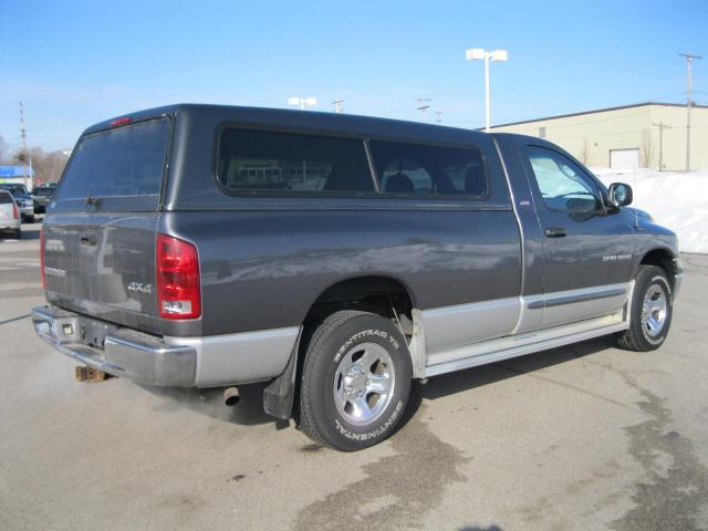 Dodge Ram Pickup 2002 photo 1