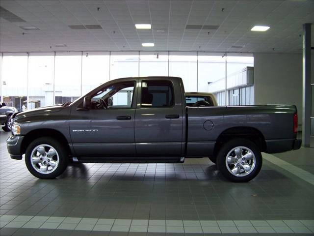 Dodge Ram Pickup 2002 photo 2