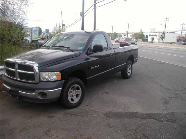 Dodge Ram Pickup 2002 photo 2