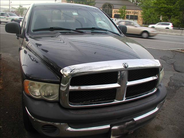 Dodge Ram Pickup 2002 photo 4