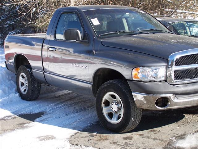 Dodge Ram Pickup 2002 photo 1