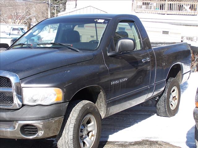 Dodge Ram Pickup 2002 photo 2