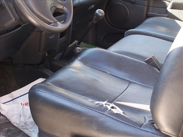 Dodge Ram Pickup 2002 photo 4