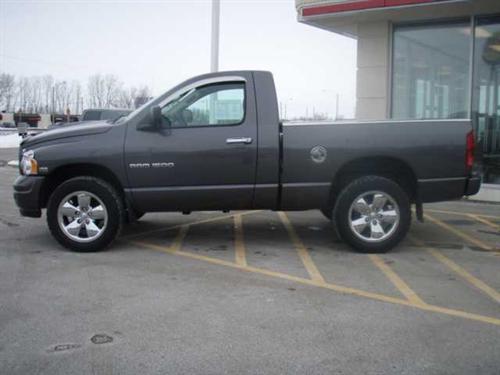 Dodge Ram Pickup 2003 photo 1