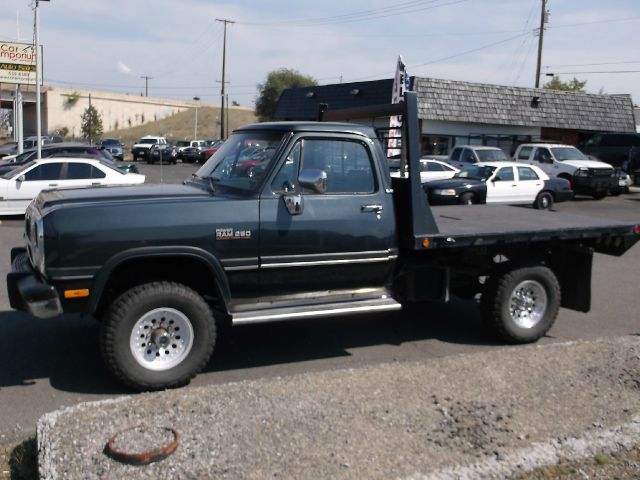 Dodge W250 Pickup 1993 photo 3