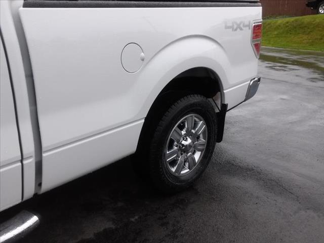 Ford F150 XLT 2010 photo 1